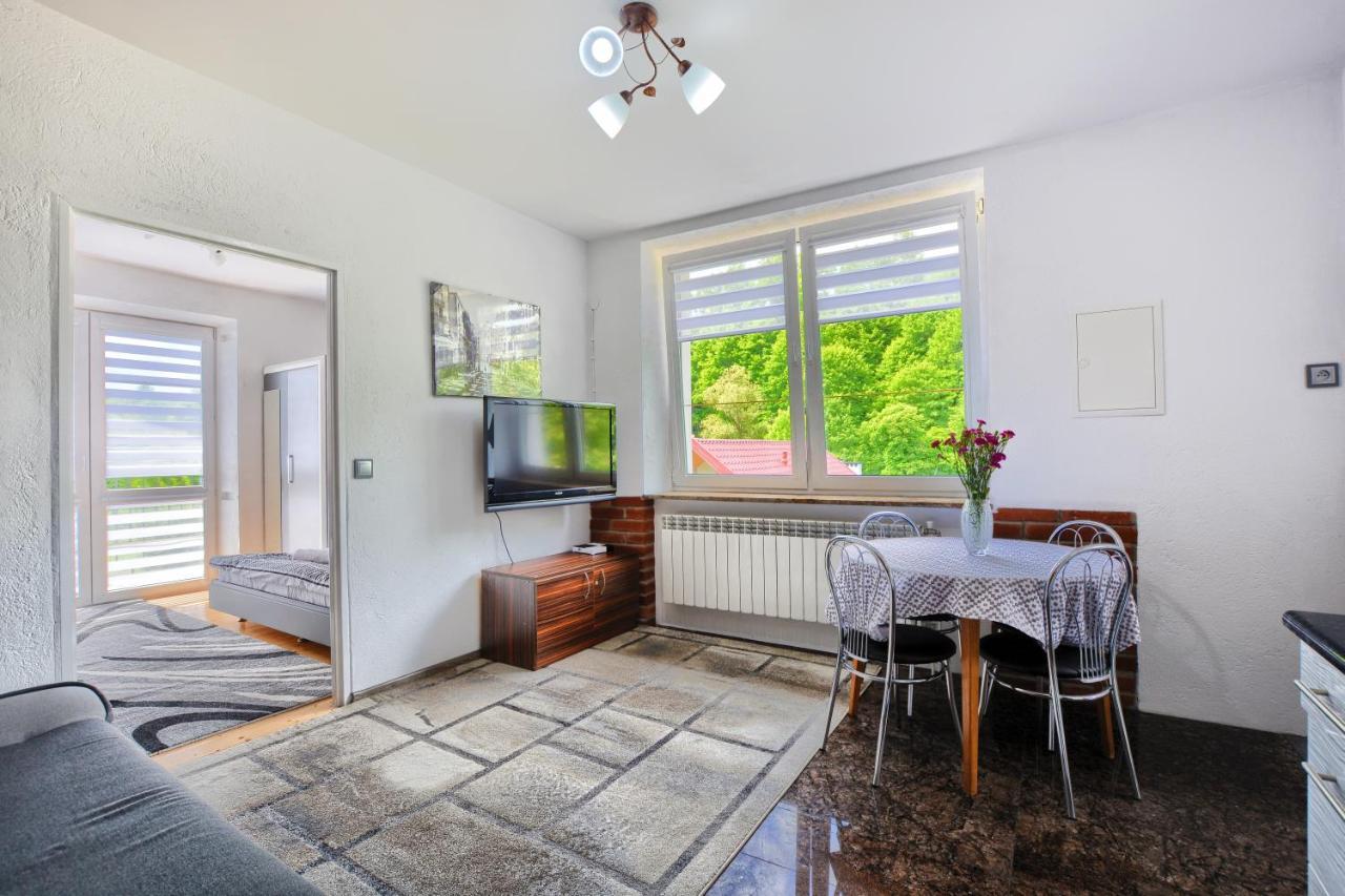 Ceglany Apartament Ustrzyki Dolne Kültér fotó
